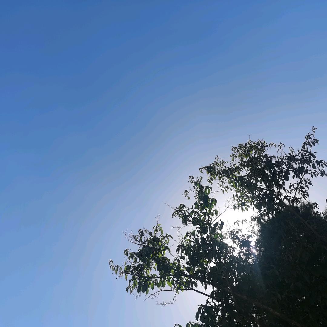 西峡县未来万家五金机电有限公司