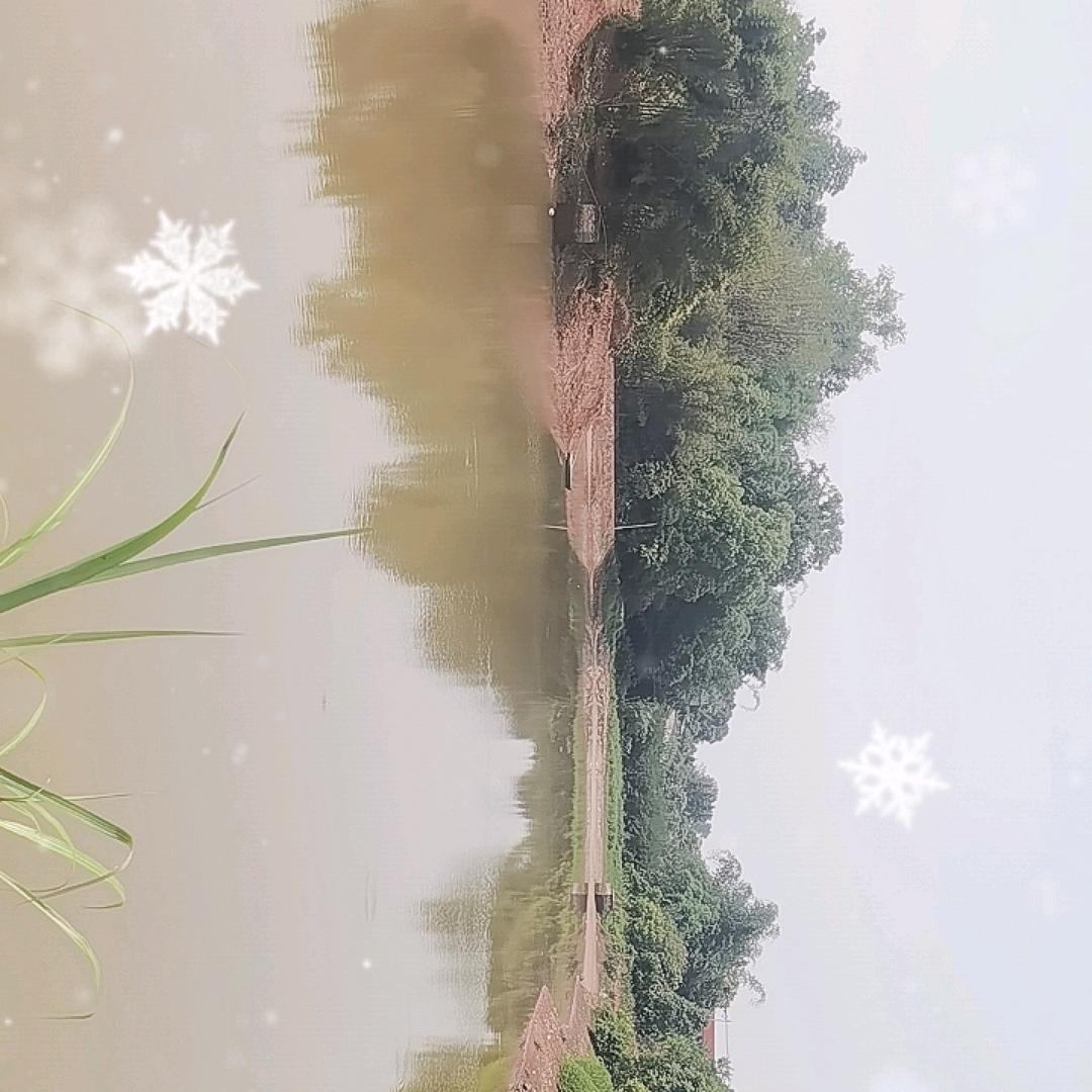 塘口钓场（竞技.休闲）！！！！！
