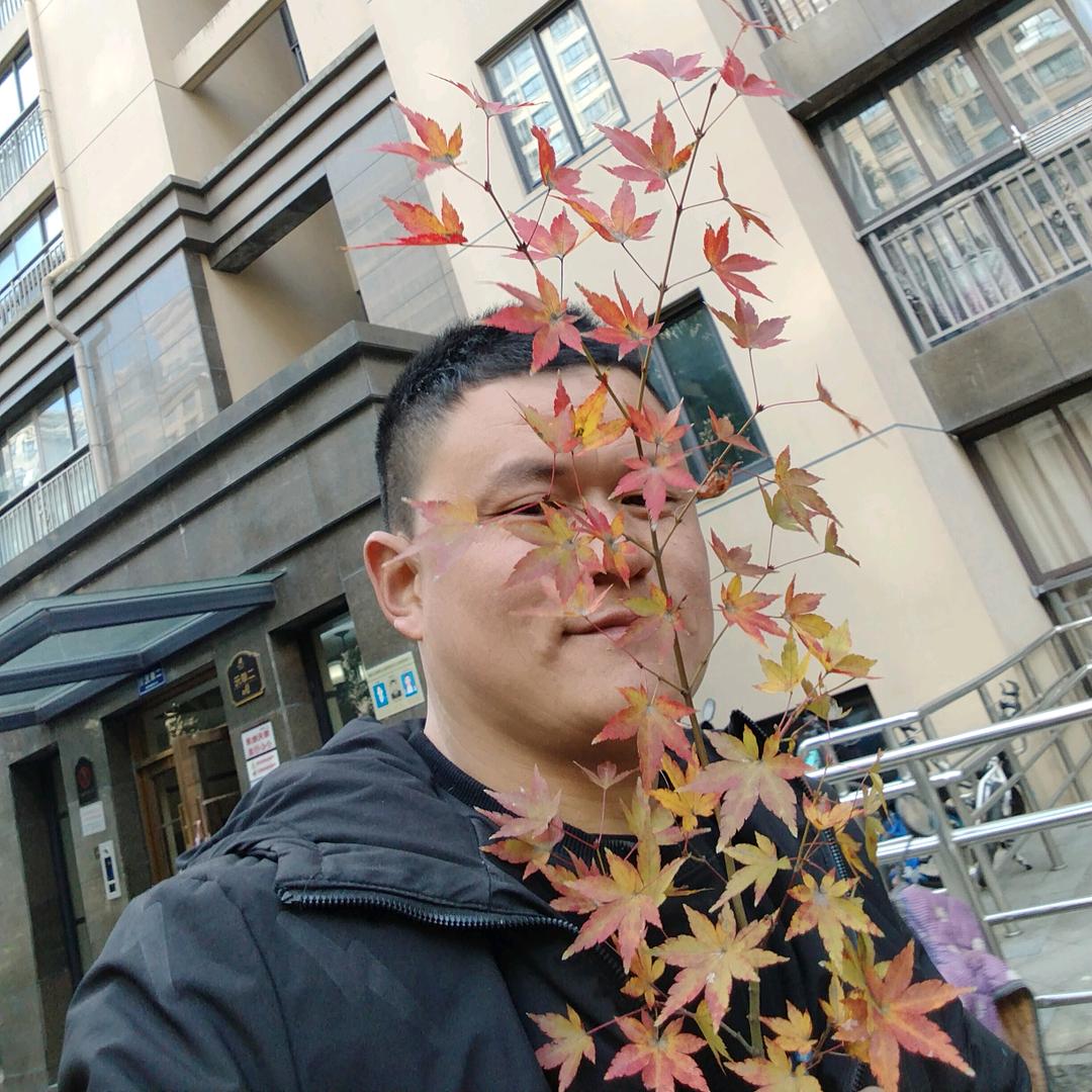 不要迷恋哥  哥是一个传说