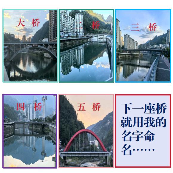 桥哥