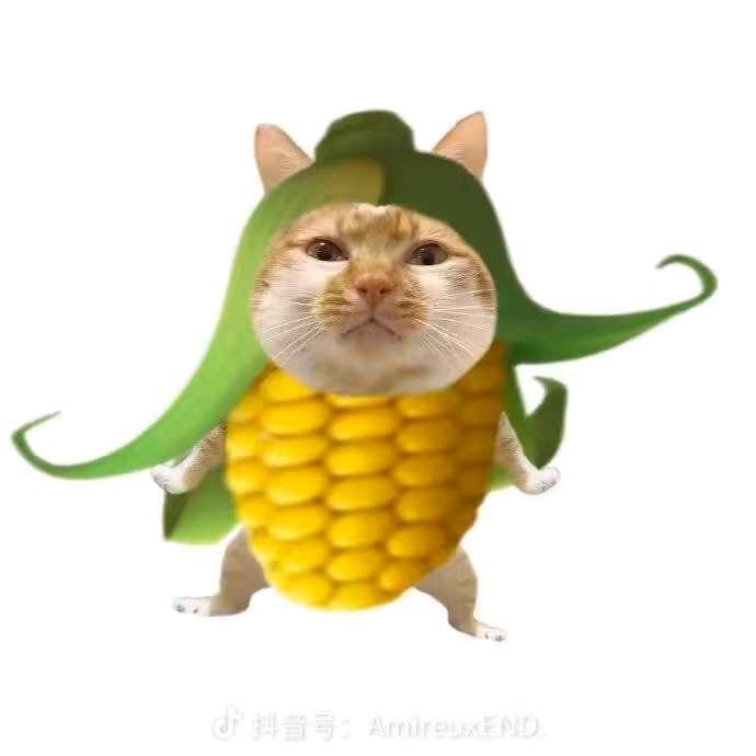 游戏茵