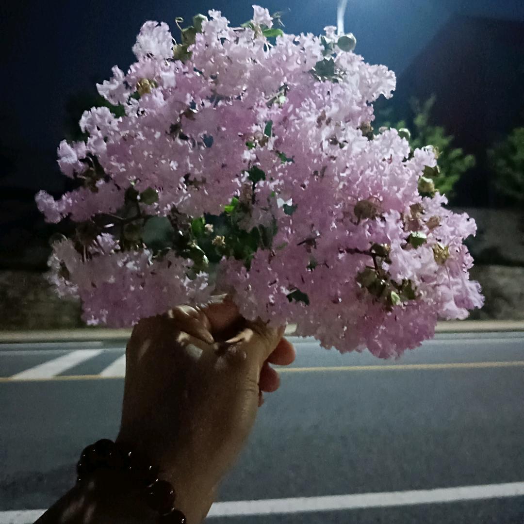 佳佳 💕