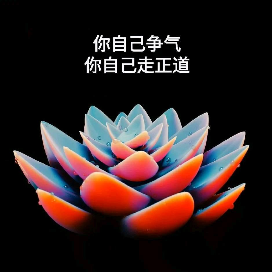爱根源，包容。