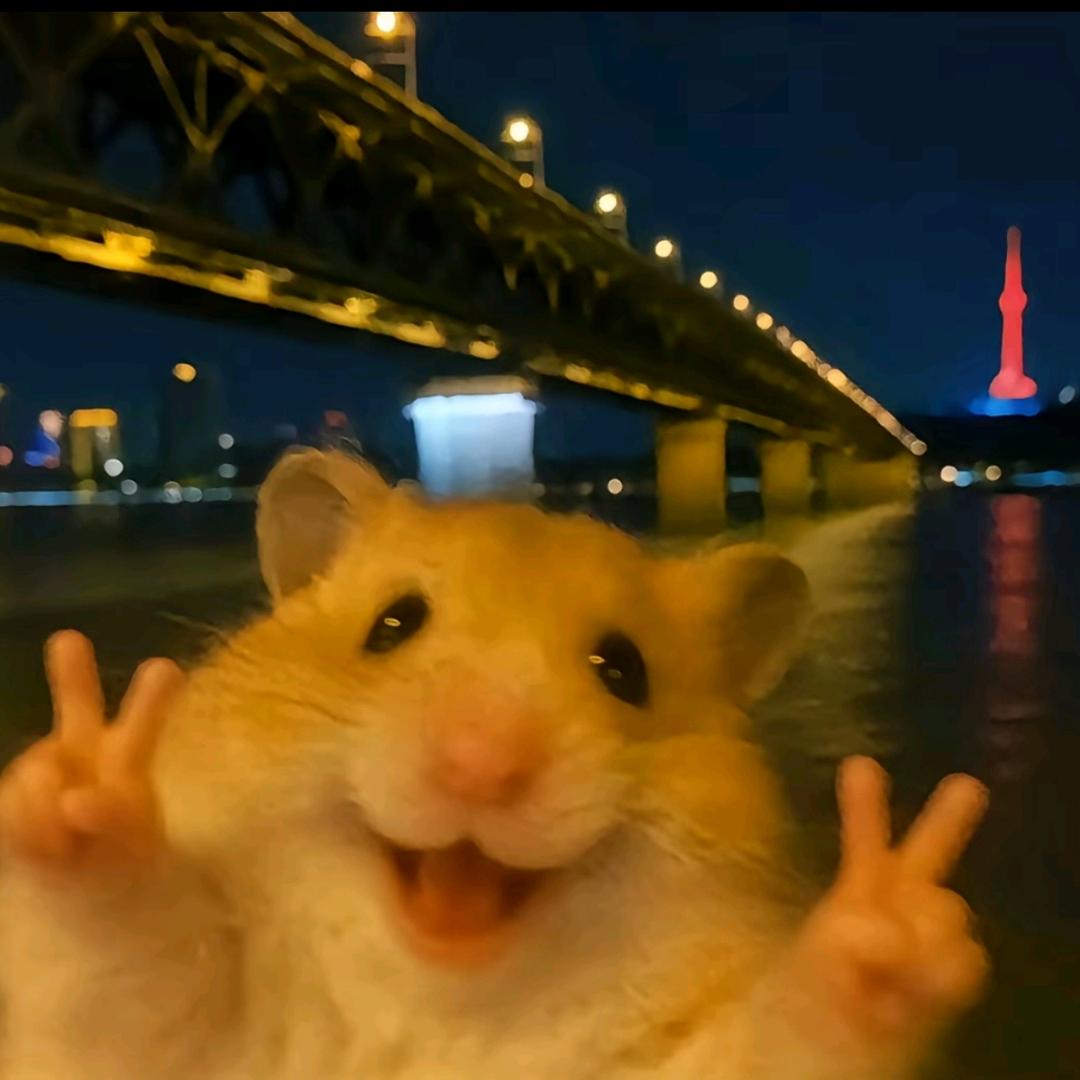 初领