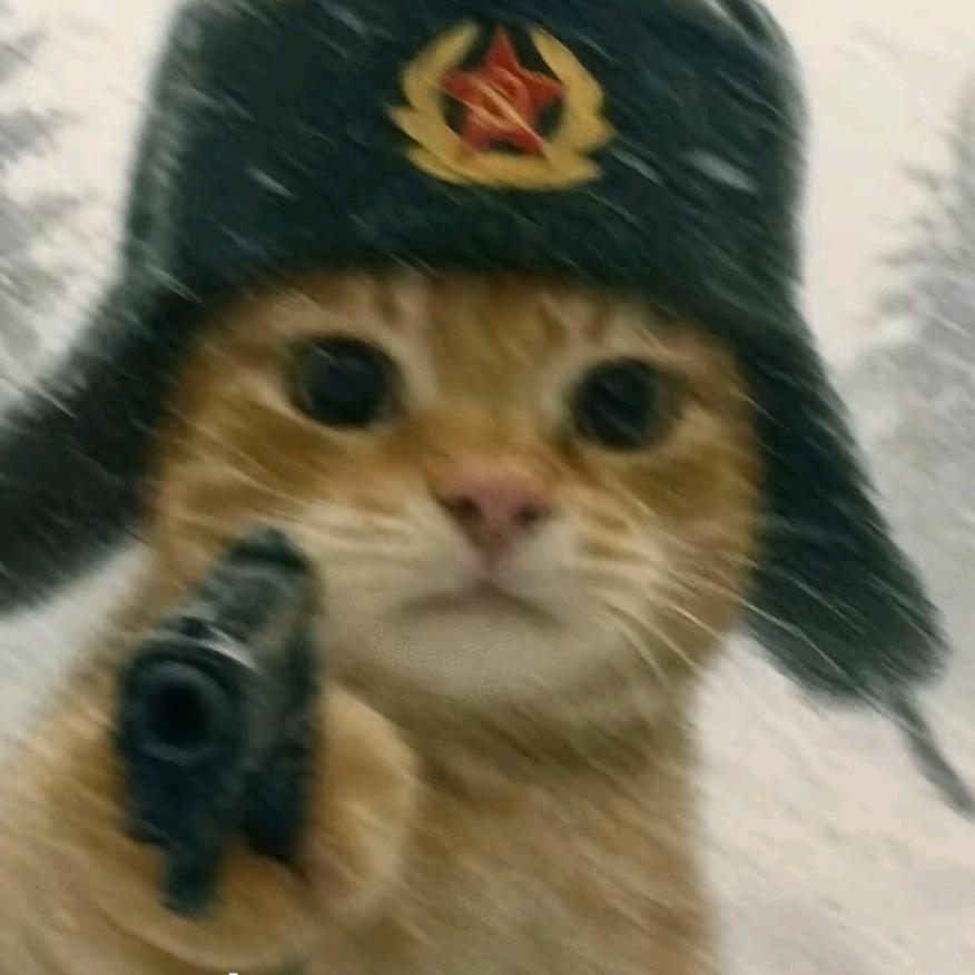 与光同尘