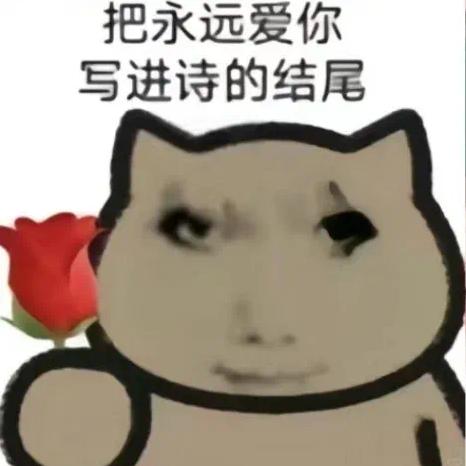 把永远爱你，写进诗的结尾🌹