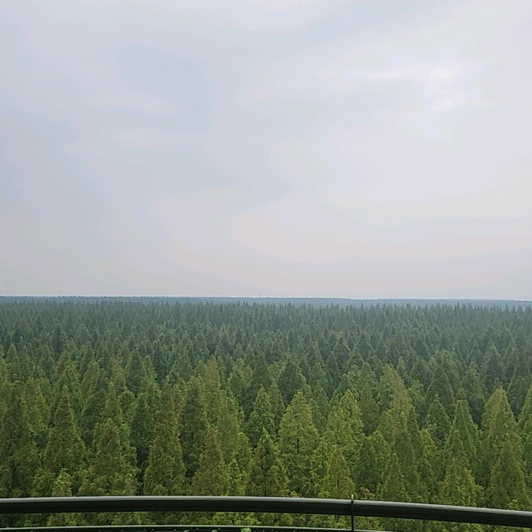 崔泡泡头像
