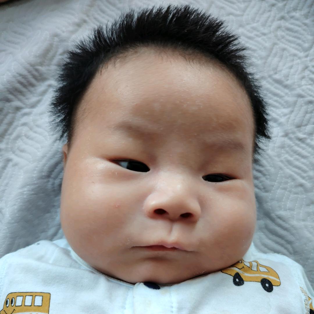 小助理福利号