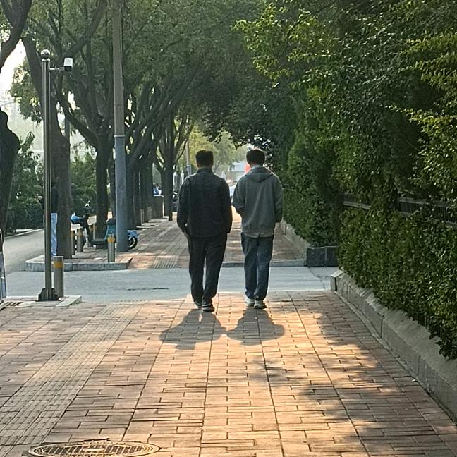 不点