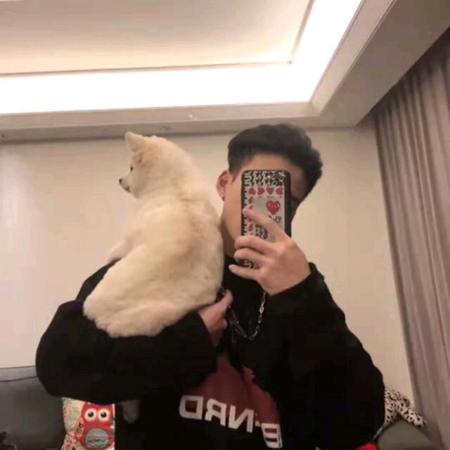适合