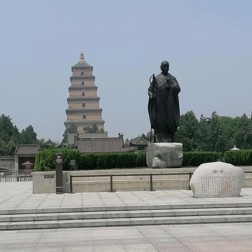 逆风更适合飞翔