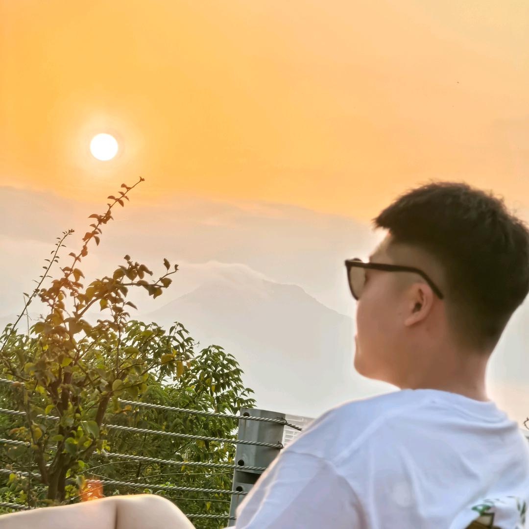 何宝宝