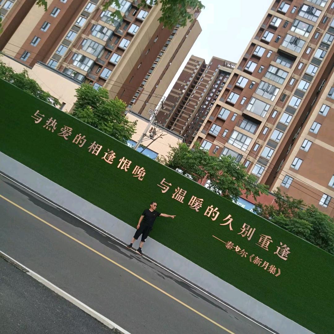 羊城