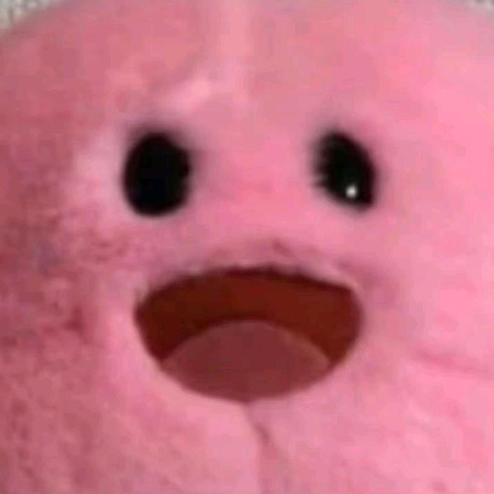 yu崽