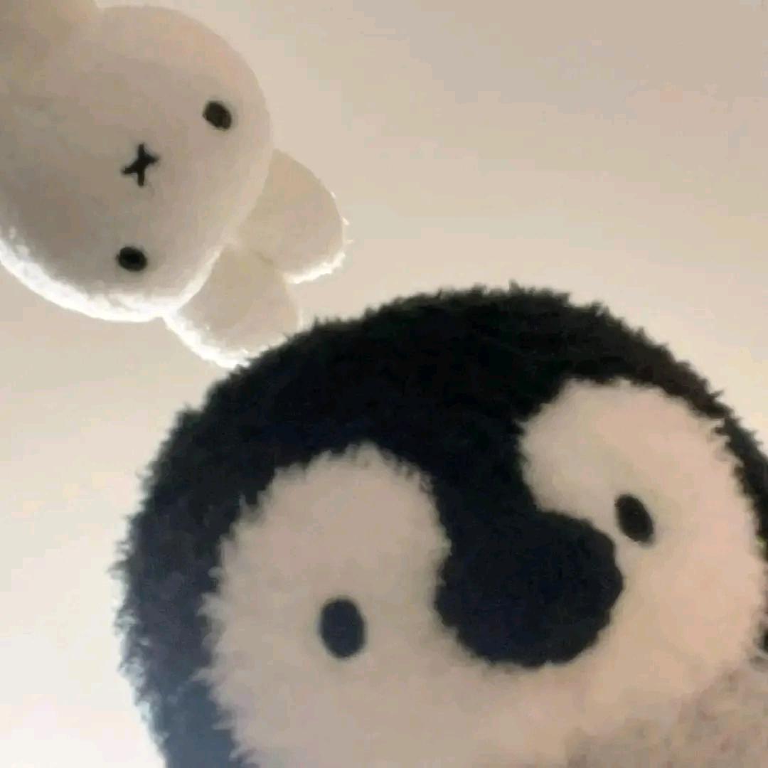 虾虾土豆