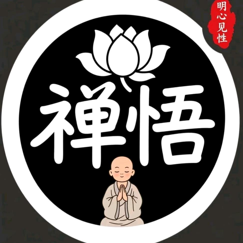 傲哥静观澜