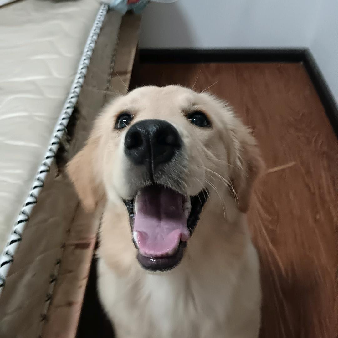 多多崽的朋友圈