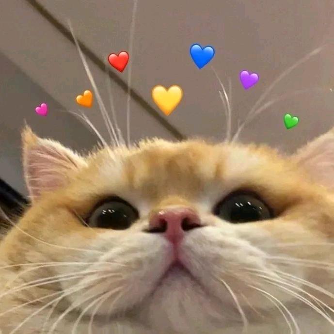 阿米诺斯୧⍤⃝