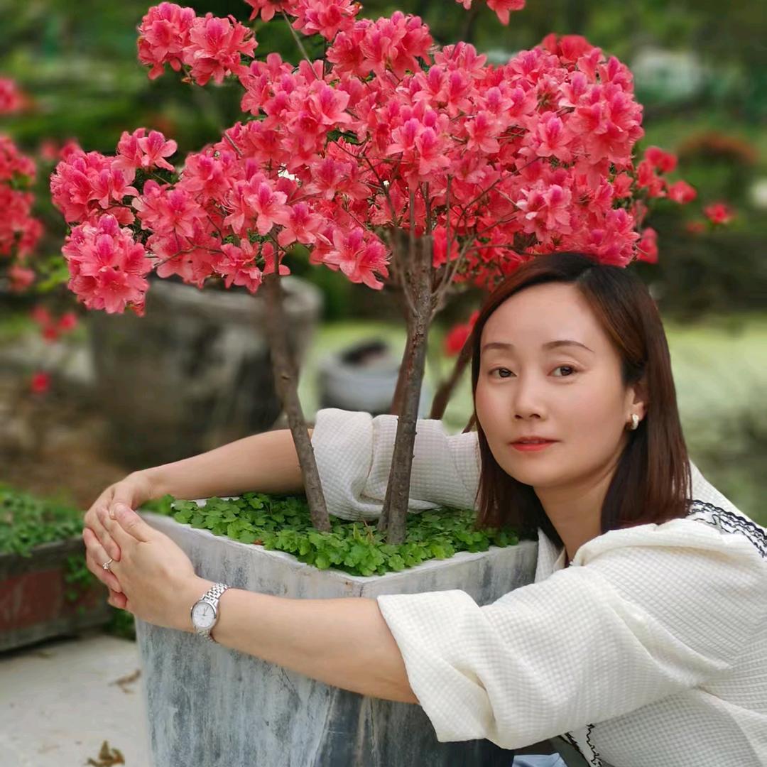 花与生活