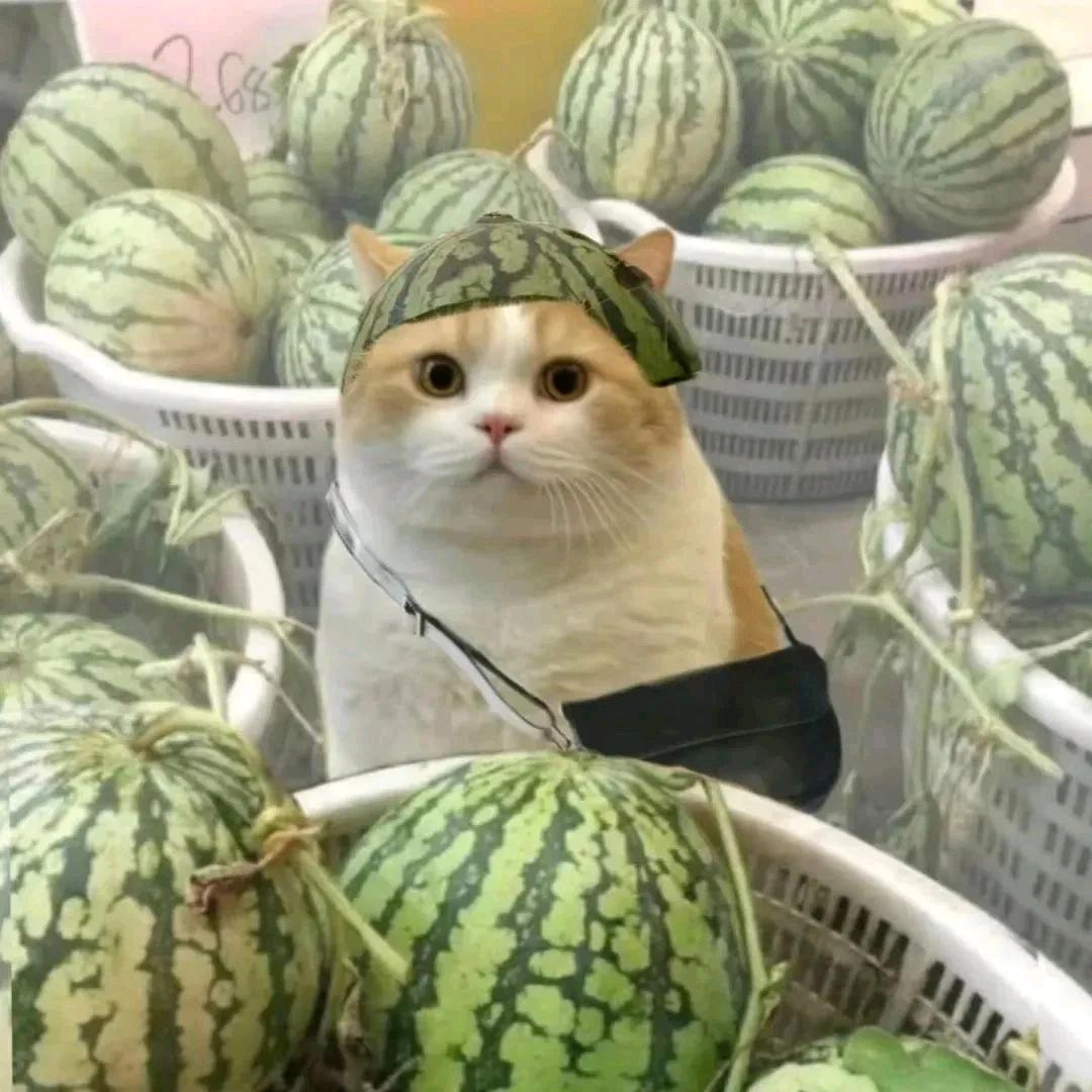 漆漆漆