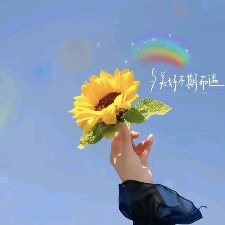 宿