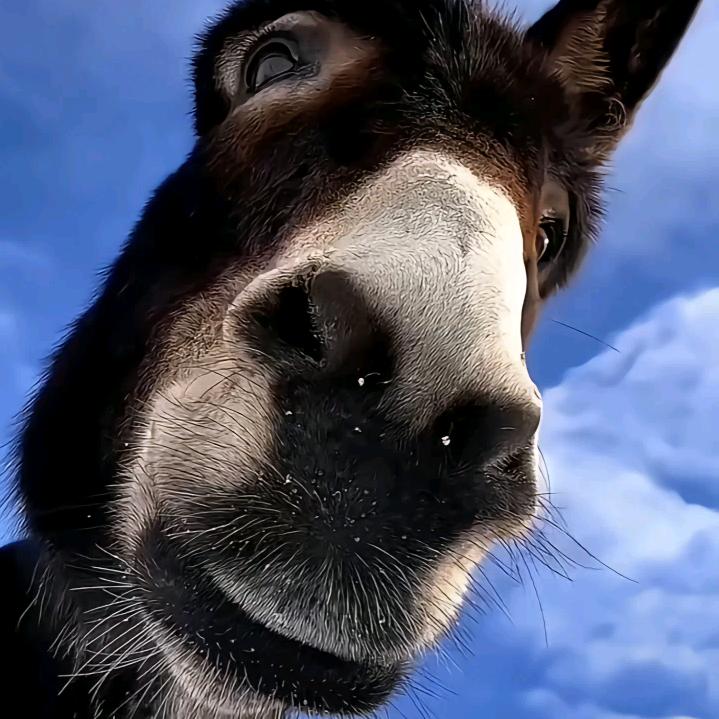 请叫我李三岁🙈