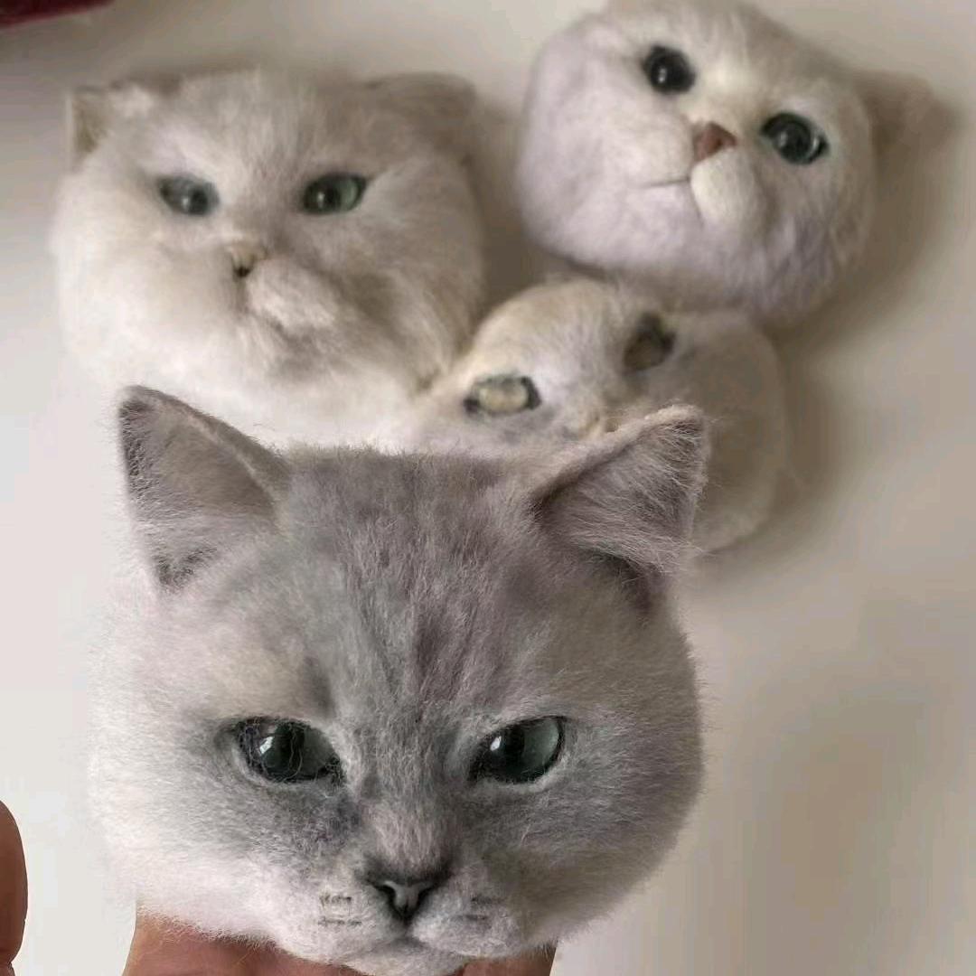 66781664713