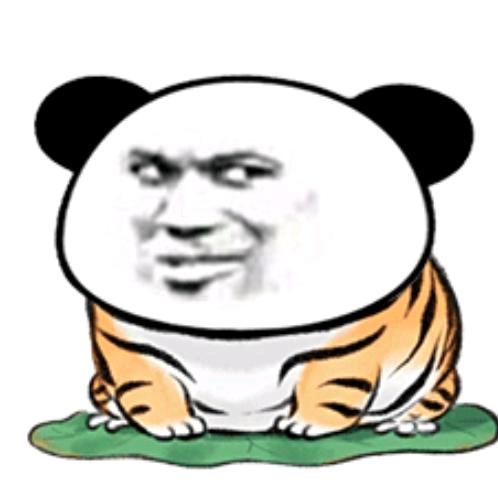 逗豆豆