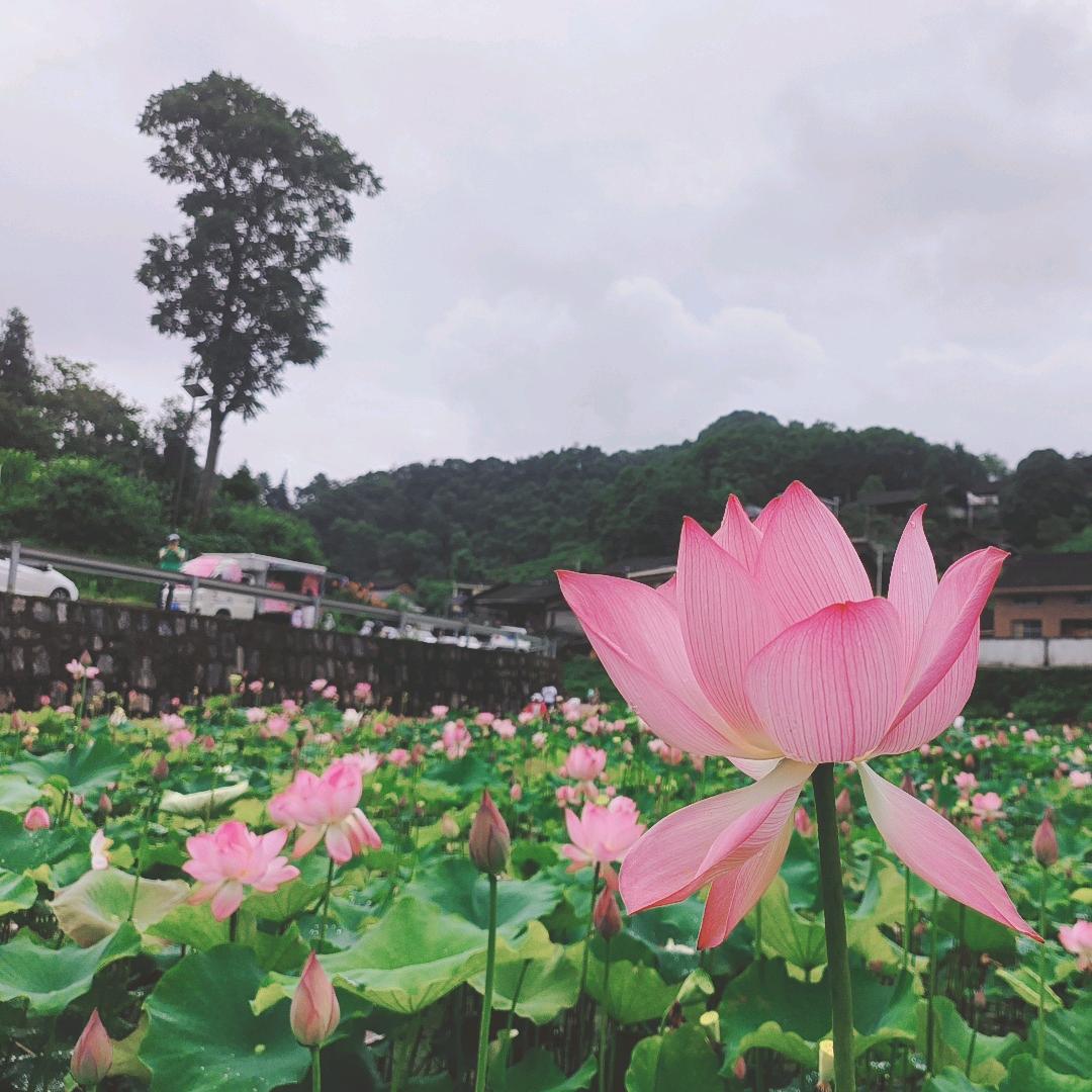 小小