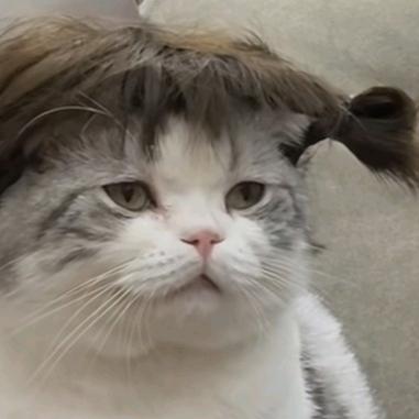 不想上班
