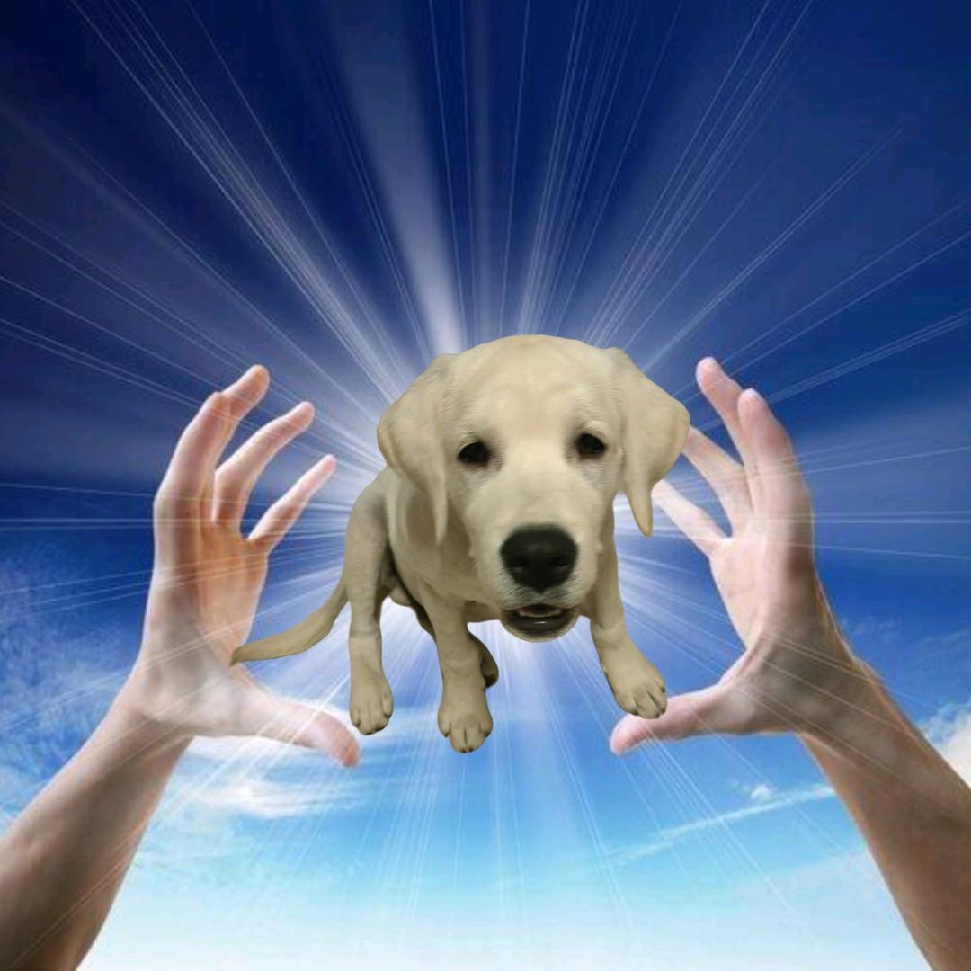 进宝