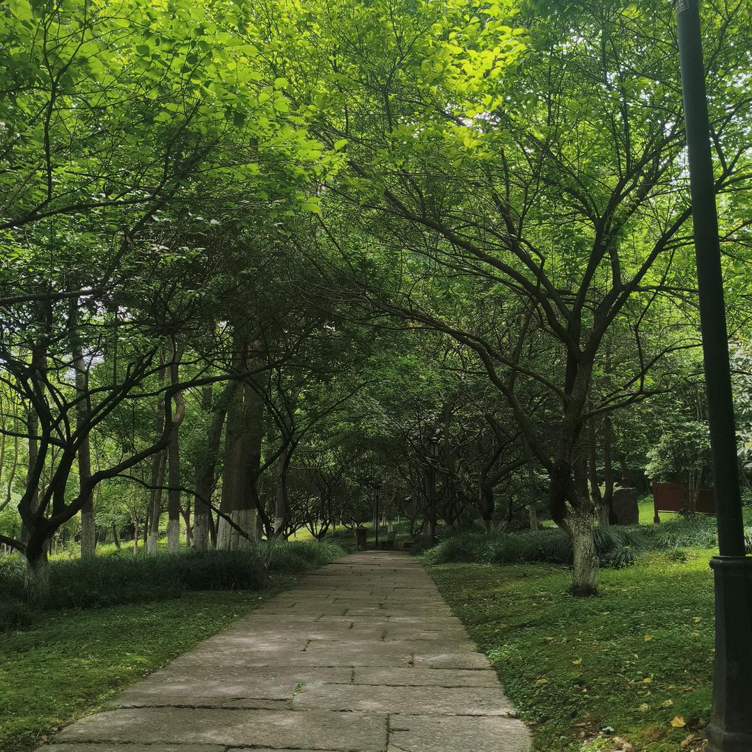 神秘学家