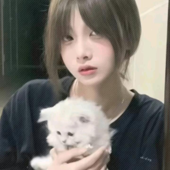 沈欣然