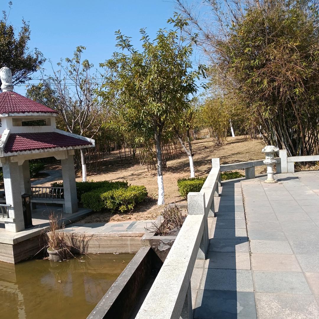 路遥知马力日久见人心巜小魏〉