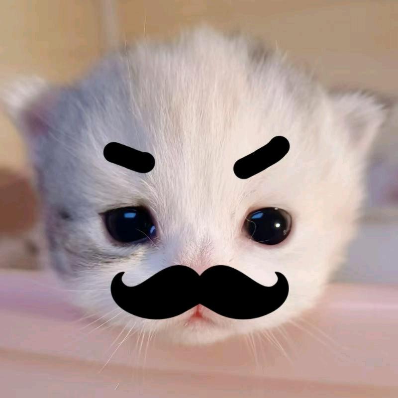 村口表哥
