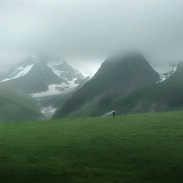 一言📷