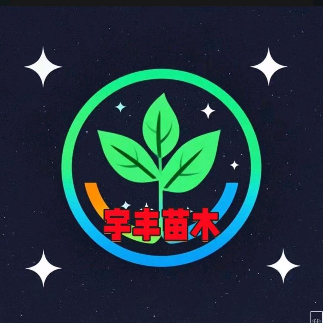 宇丰苗木