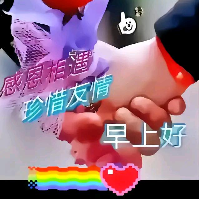 玫瑰花