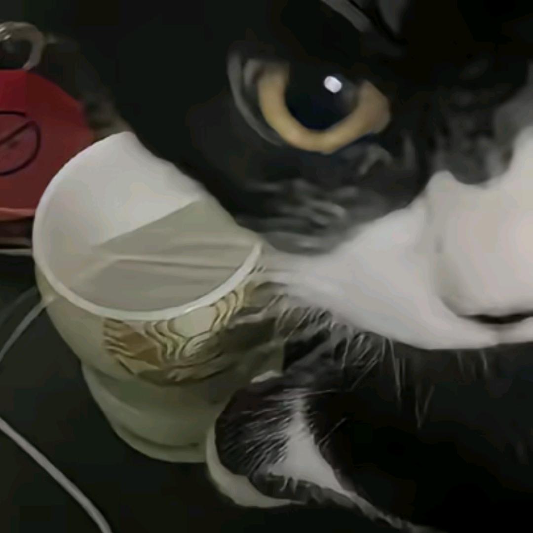 虎彻.