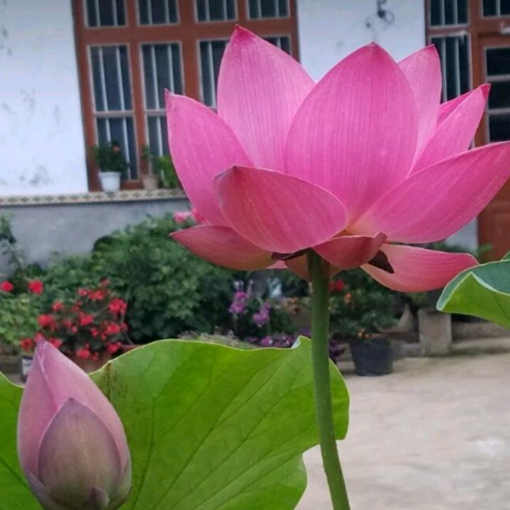 洋洋启航王姐
