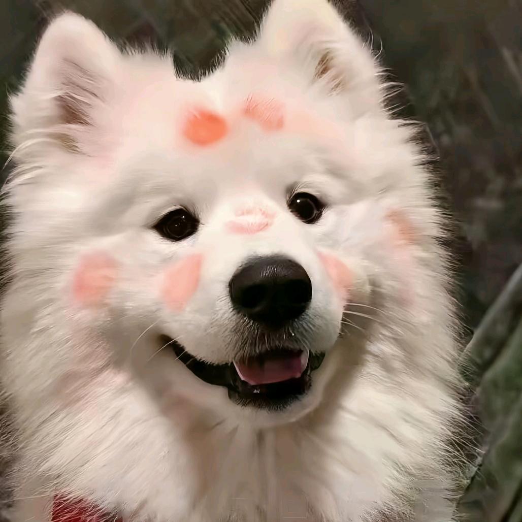 俞冷瑞