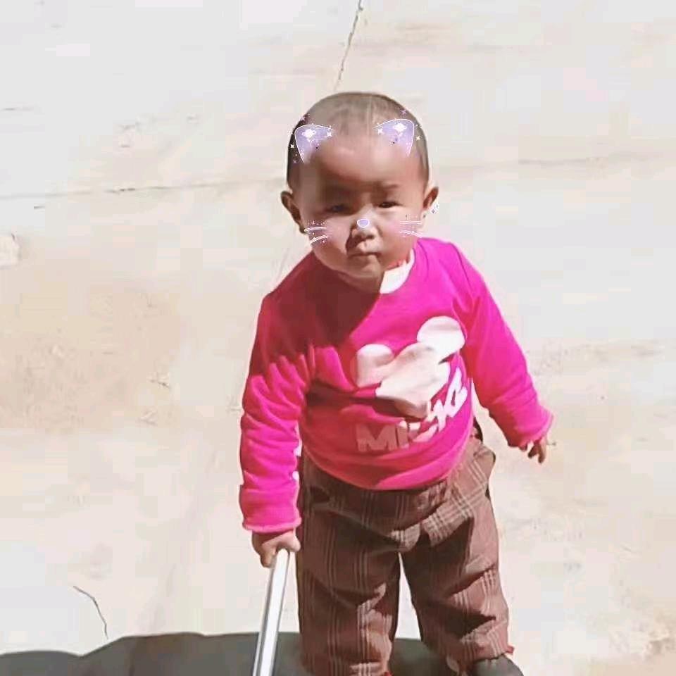 达娃