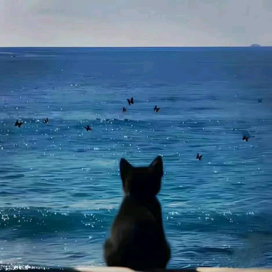 绗
