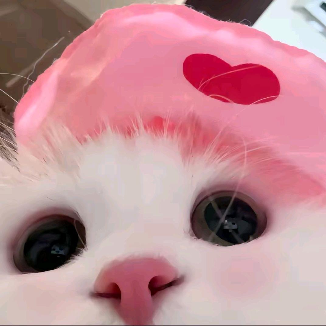 泡泡不睡觉