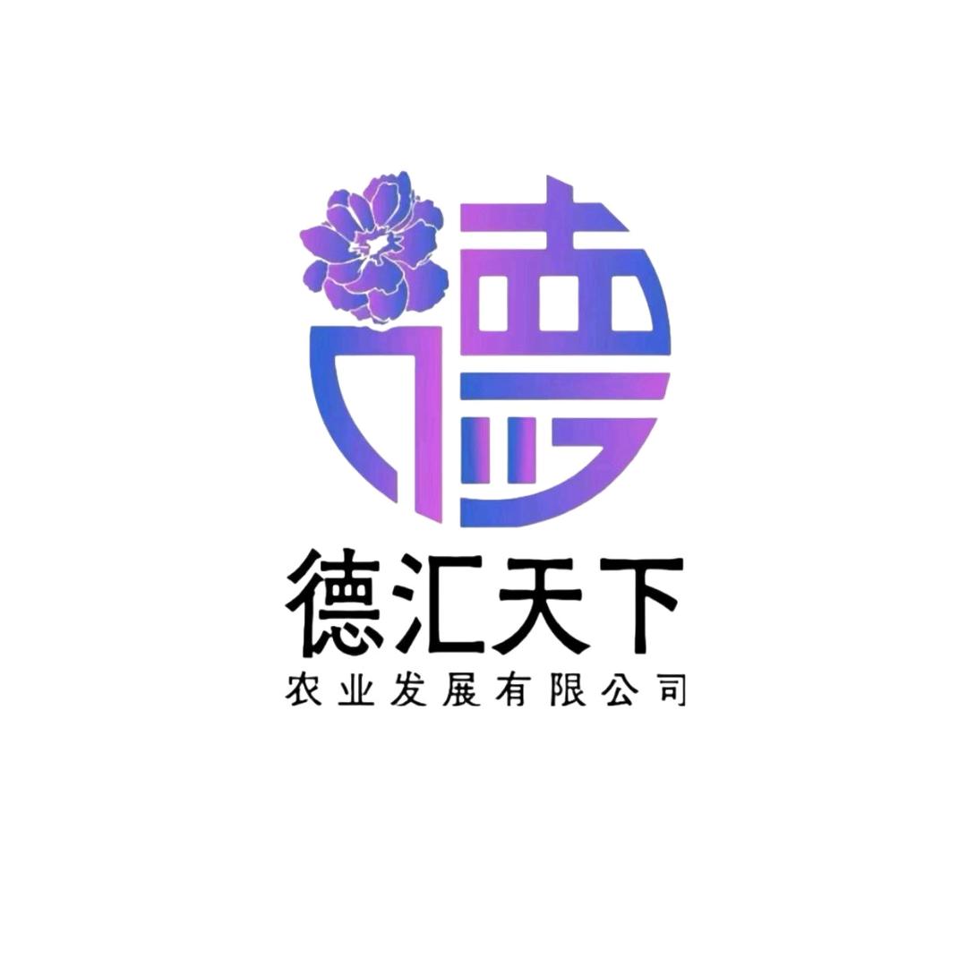 德汇天下～朱宇