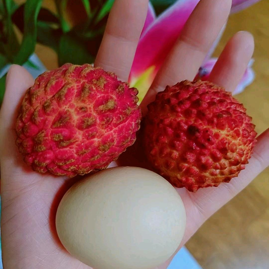 春艳姐