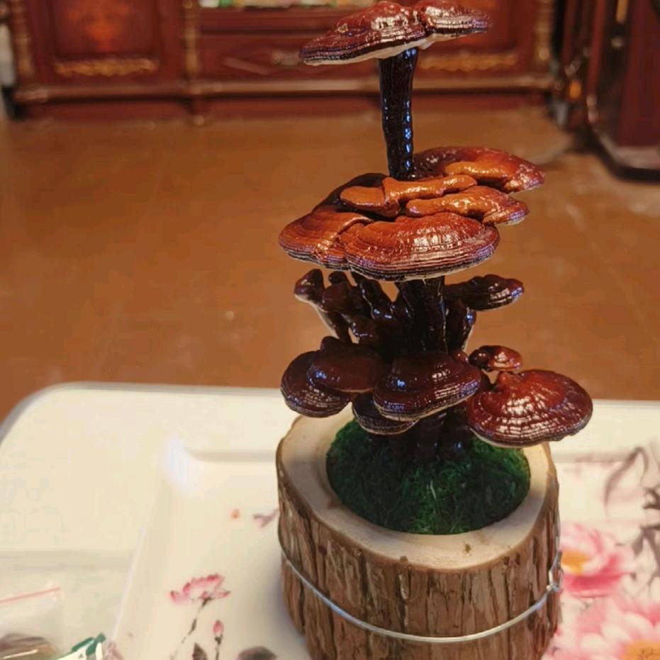 吉祥龙好物市集