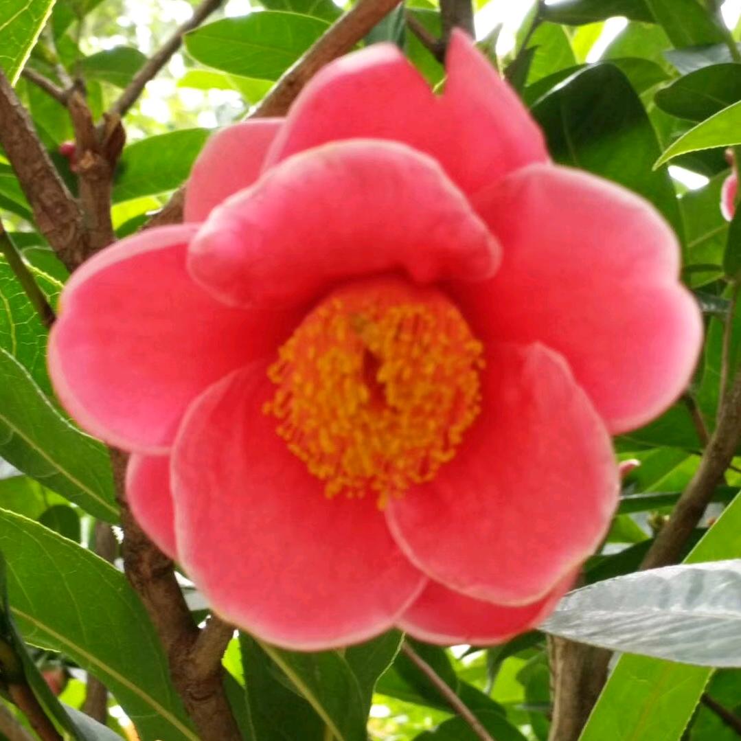 ²⁰²⁵এ᭄好运双尒꧔ꦿ᭄💞