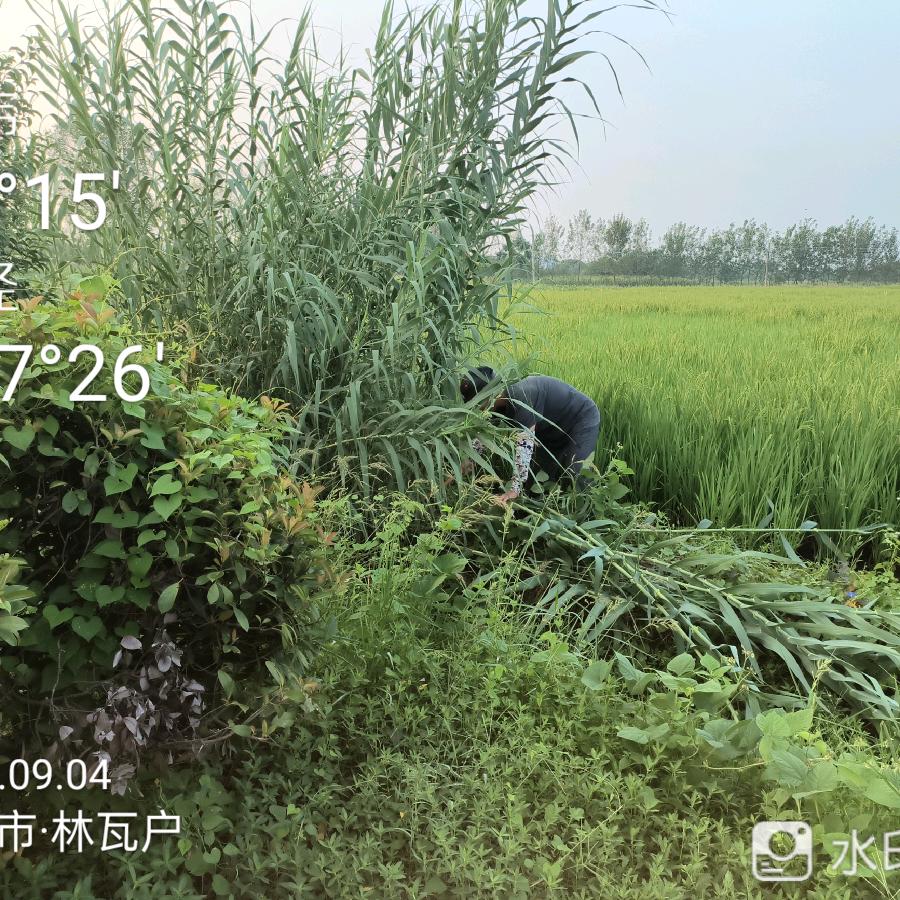 珍惜人生