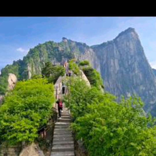 @杨山